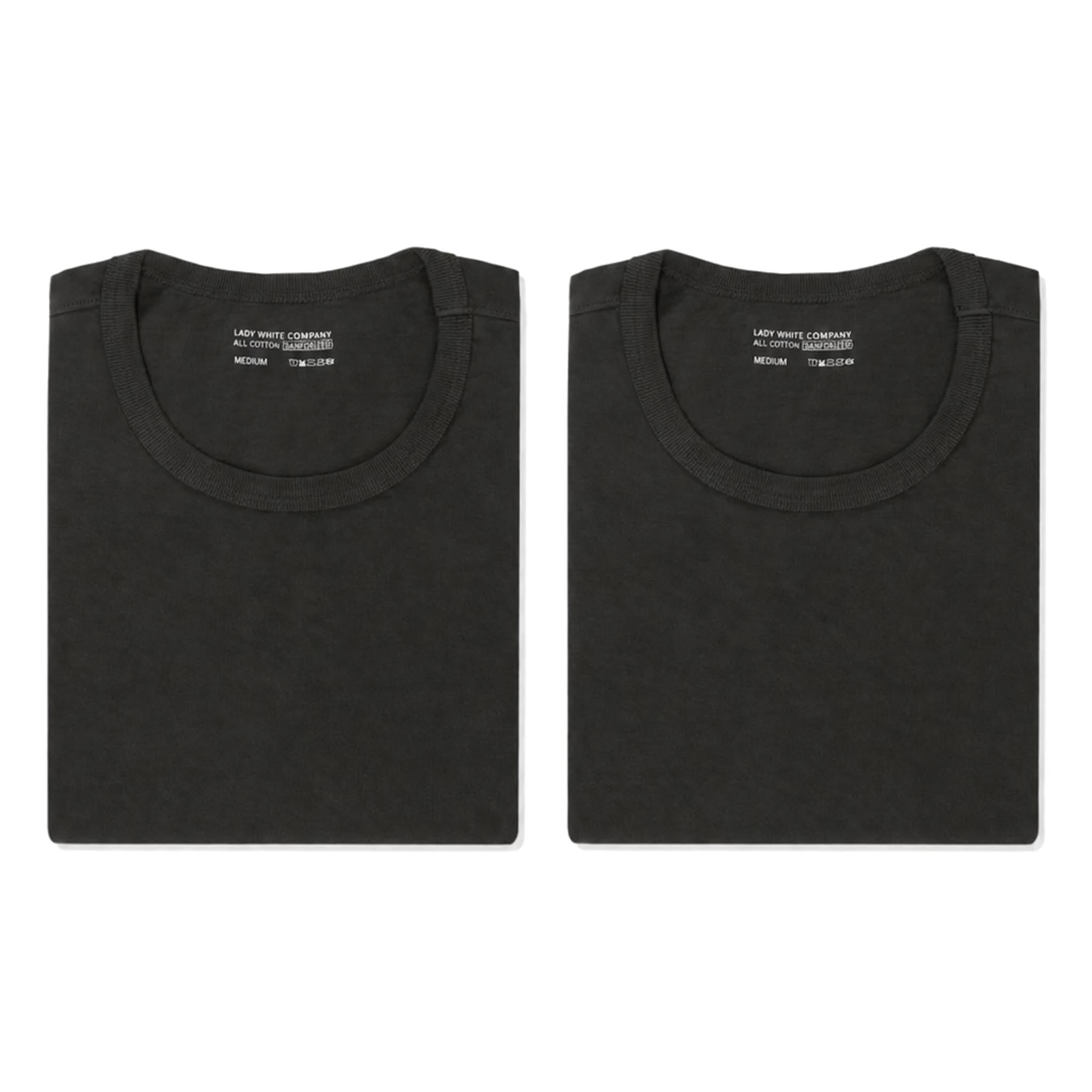 LW101T Our T-Shirt 2 Pack - Flint